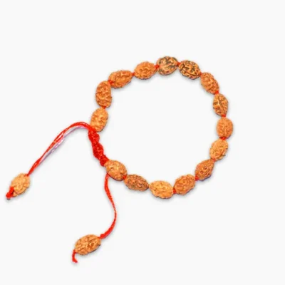 2 Mukhi Rudraksha Bracelet, Two Face Rudraksha Bracelet, Adjustable